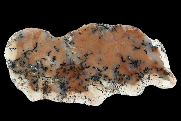 Polished Wanong Dendritic Opal Slab - Australia #96274